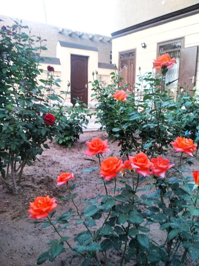 Shodlik Guest House Khiva Exterior foto